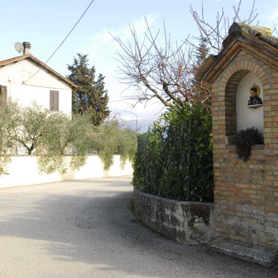 Montefalco - San Luca, strada San Luca - Fabbri [MON037]