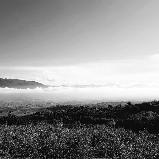 Un percorso tra vigneti e oliveti a Montefalco, panorama sulla Valle Umbra