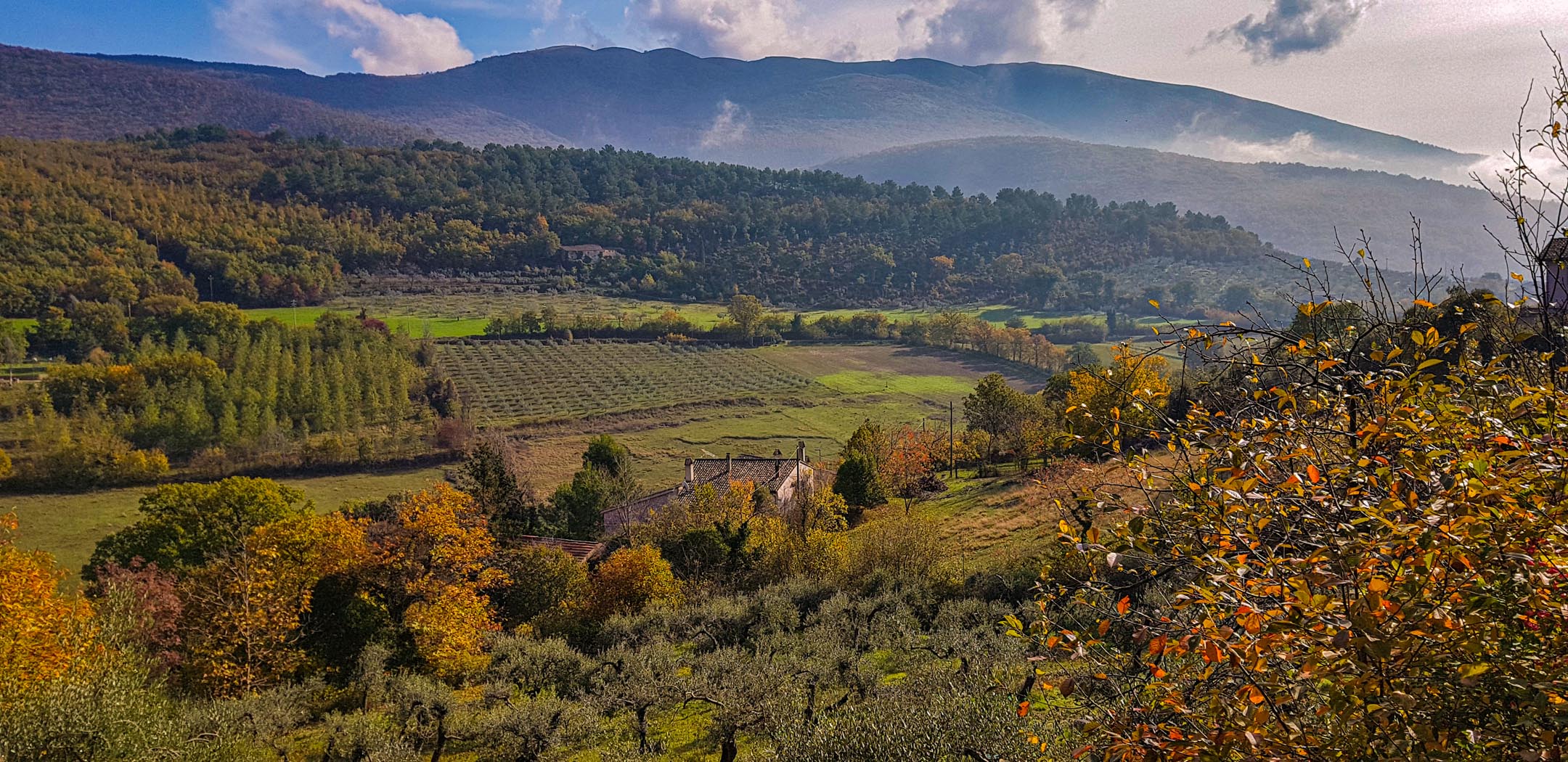 LA VALLE DI MANCIANO, PANORAMA